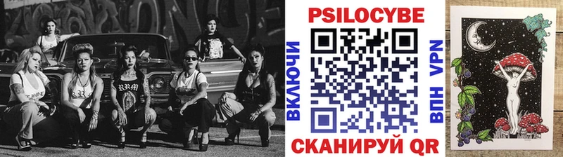 Галлюциногенные грибы Psilocybe  Черногорск 